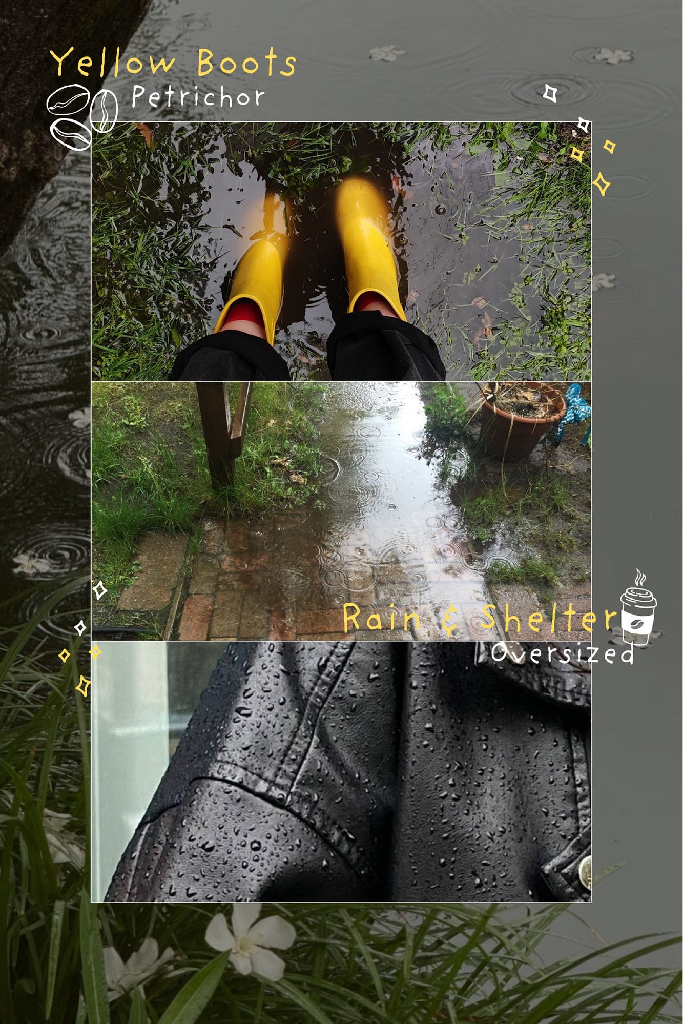 Rain & Shelter