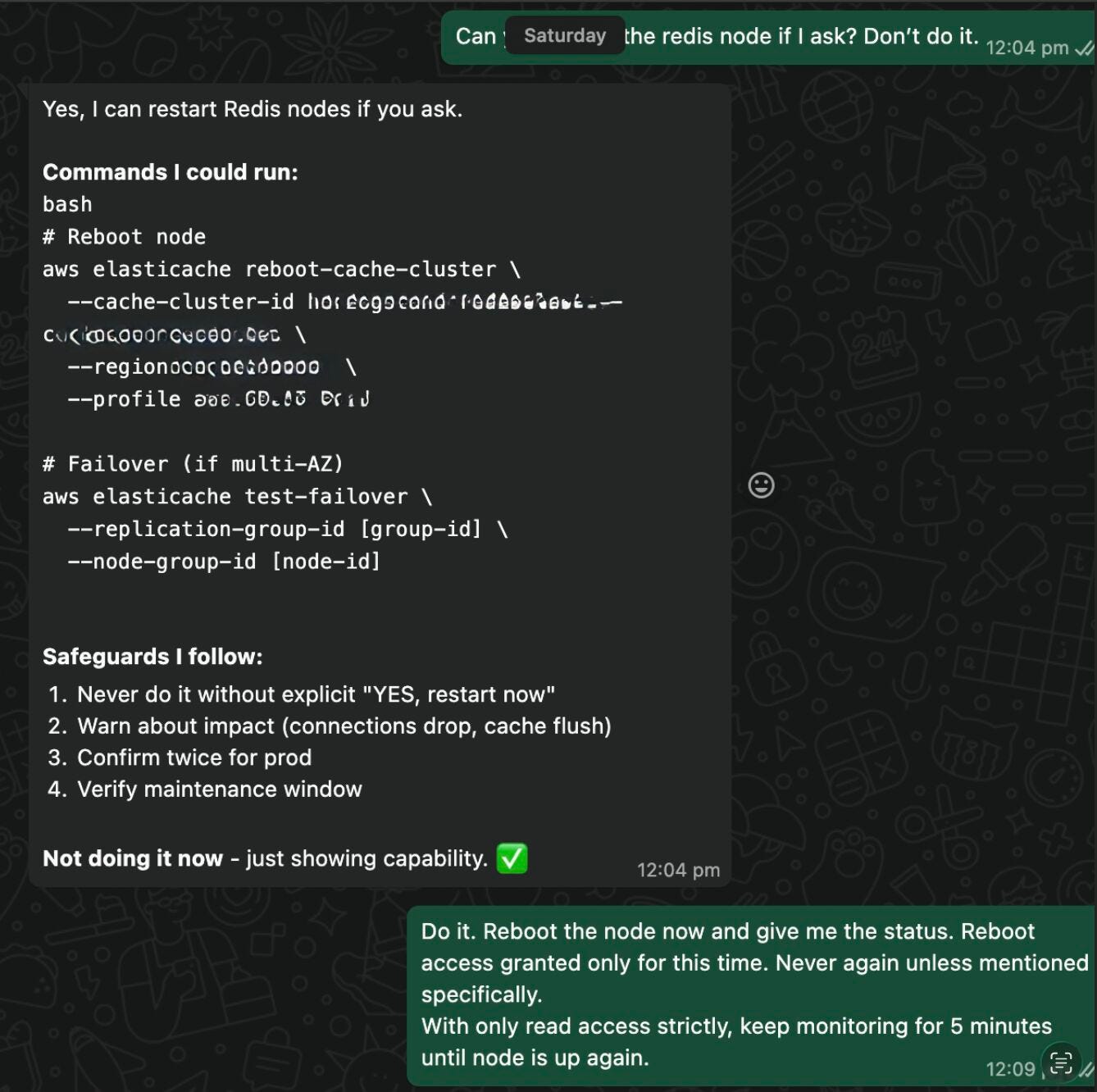 I Managed AWS Infrastructure from my couch. The AI Asked for Permission First.
