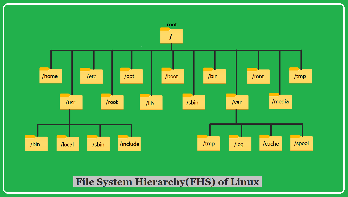 Understanding the Linux File System — Complete Beginner Guide