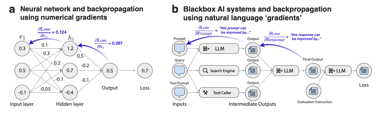 What If LLMs Learn Better from Language Than from Rewards?