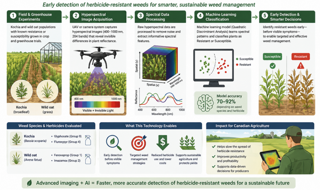 Managing weeds through hyperspectral imaging: a new tool for producers
