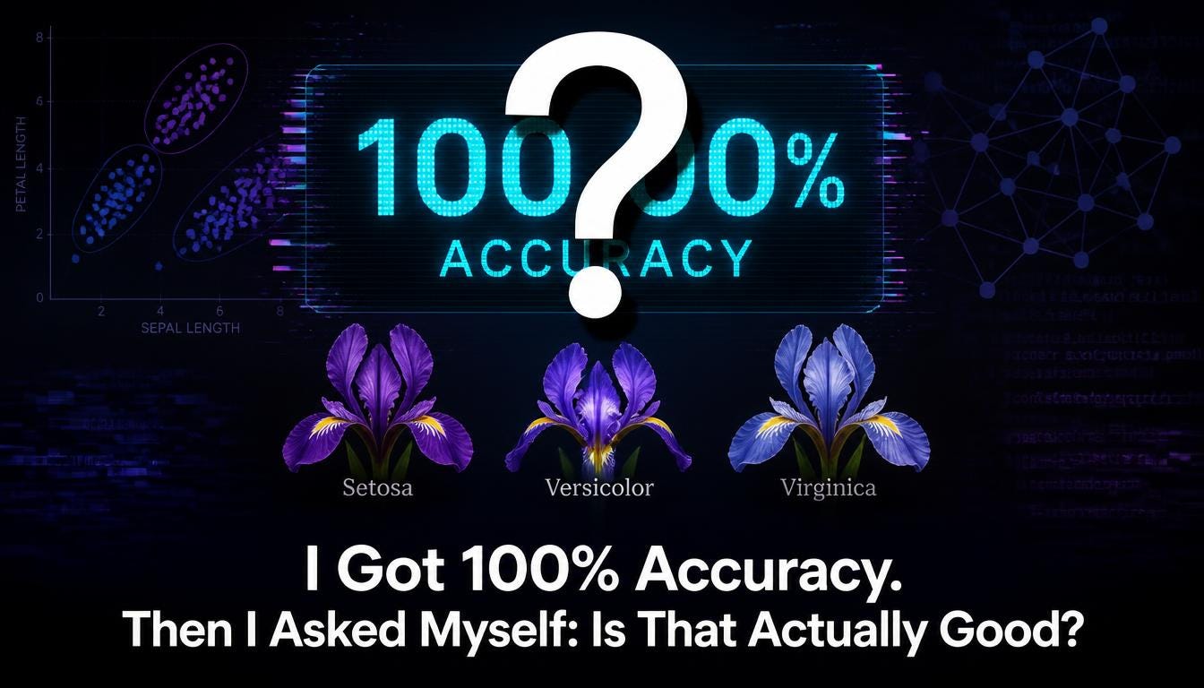 I Got 100% Accuracy on My First Classifier. Then I Asked Myself: Is That Actually Good?