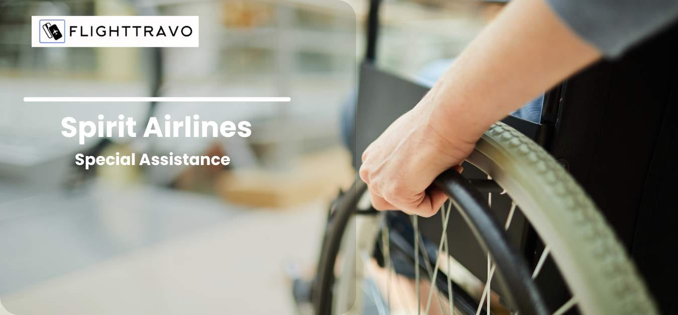 Spirit Airlines Special Assistance: Supporting Passengers Every Step o