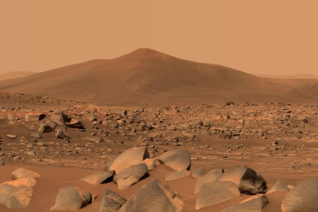 Growing Plants…On Mars-