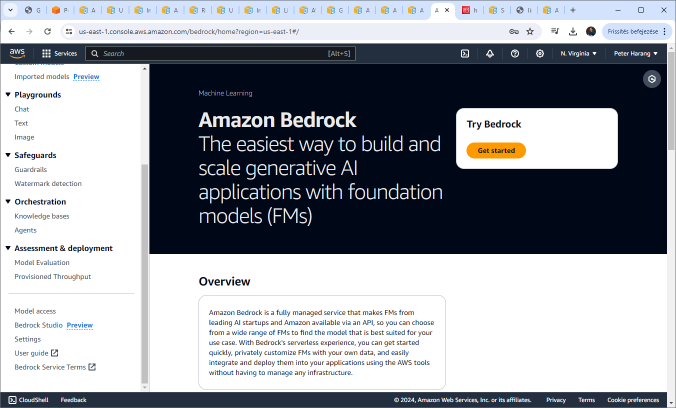 Setting up AWS Bedrock for API-based text inference