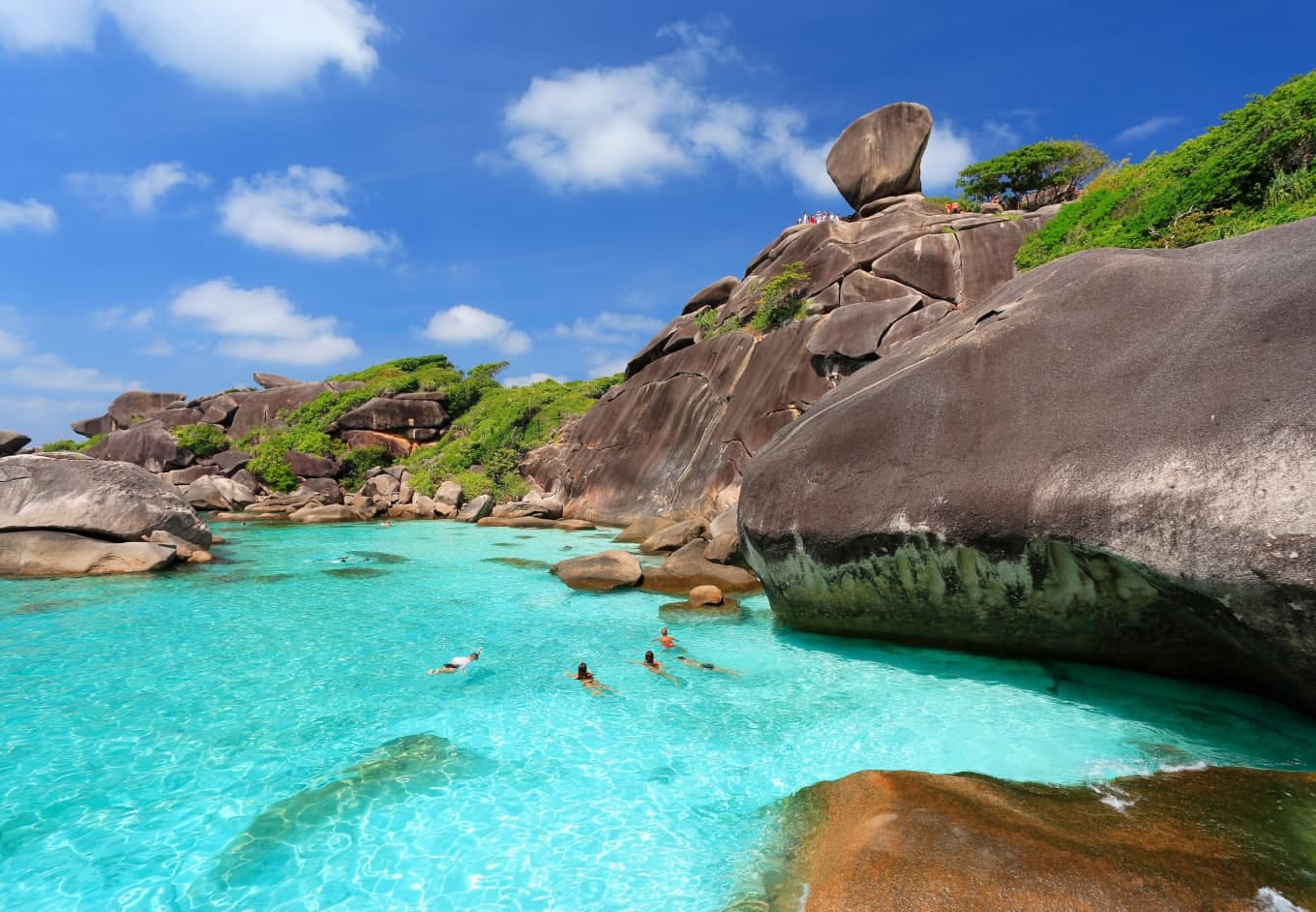 Diving into Paradise: My Similan Islands Adventure with CheQin