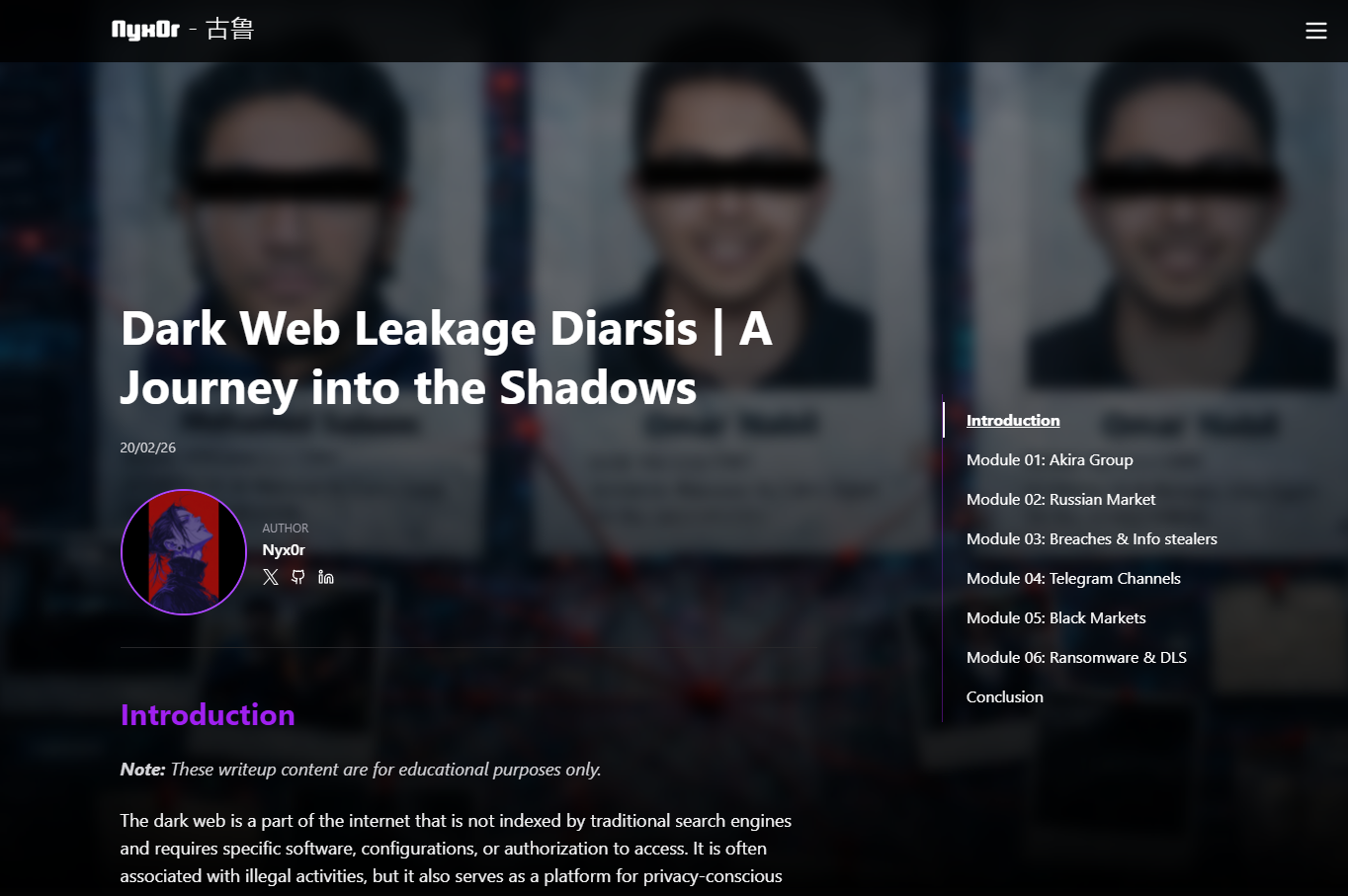 Dark Web Leakage Diarisis