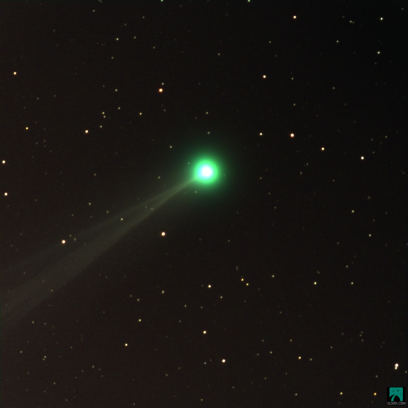 A Green Pan-STARRS Comet Is Glowing Over Australia