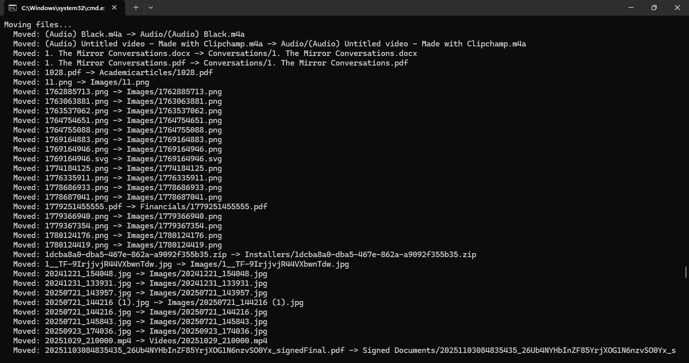 I Built a Local AI Downloads Organizer with Python and Ollama