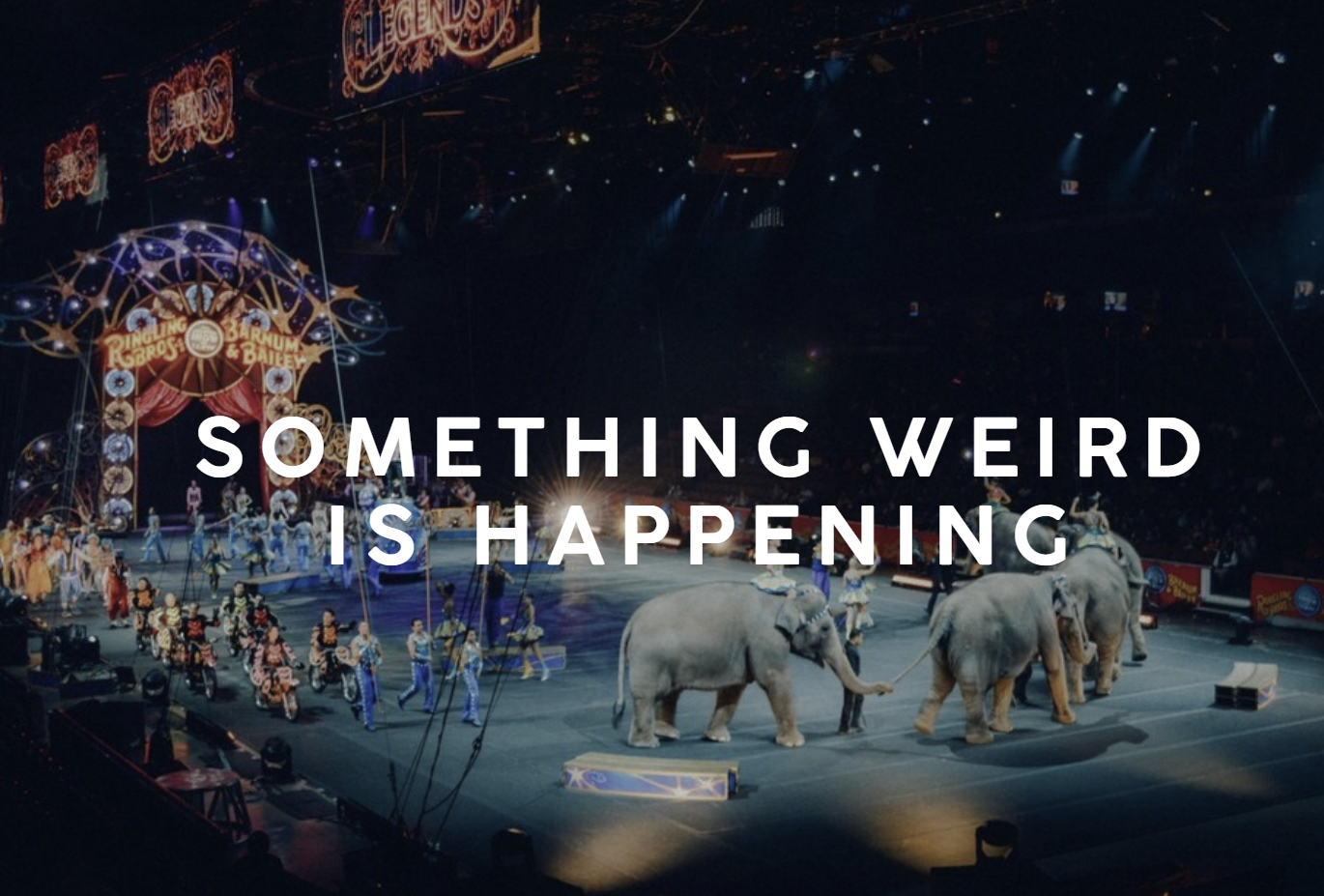 Something Weird Is Happening in the Software Industry