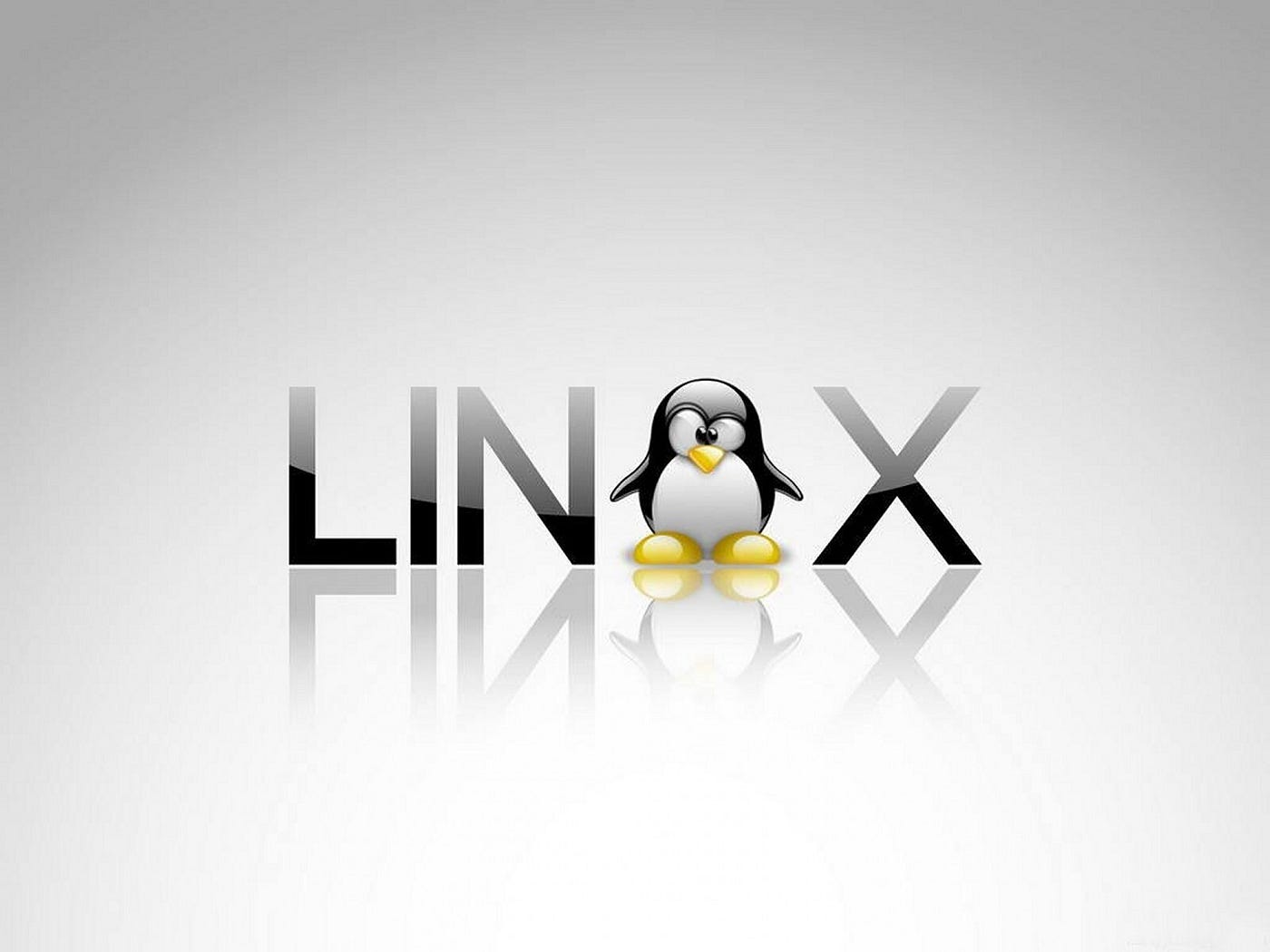 Linux for Beginners: Understanding the Basics of Linux Operating Systems