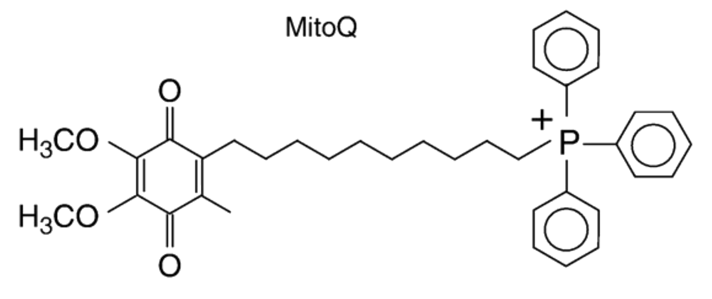 Mitoq molecule