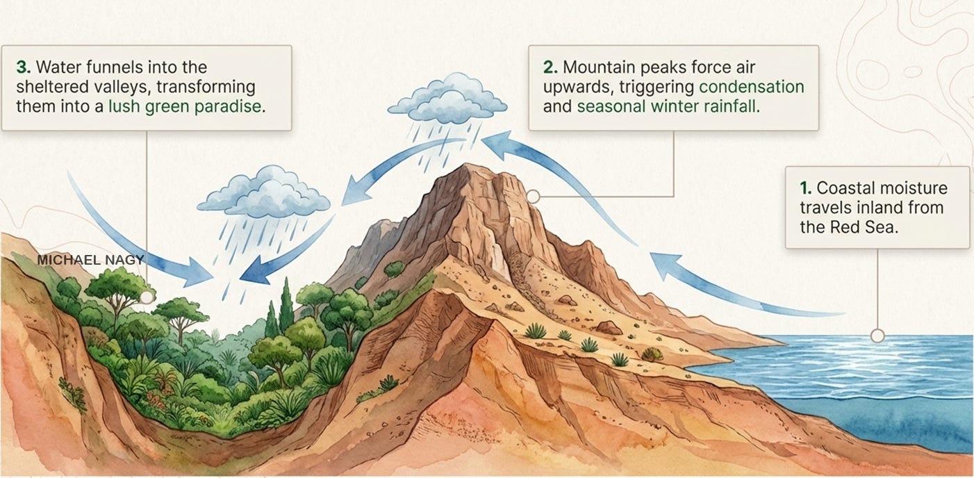 Remote Sensing on Medium - Discover the Integrated Ecosystem of Gebel Elba National Park