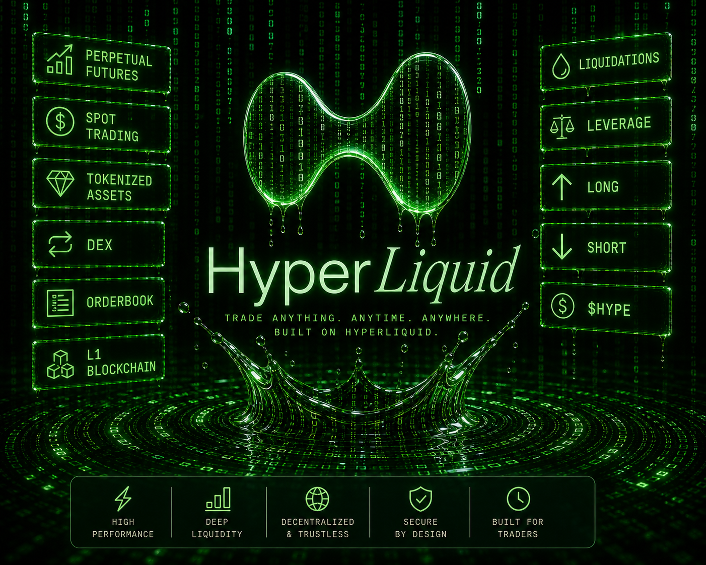 The Short Dummies Guide to the HyperLiquid L1 Blockchain
