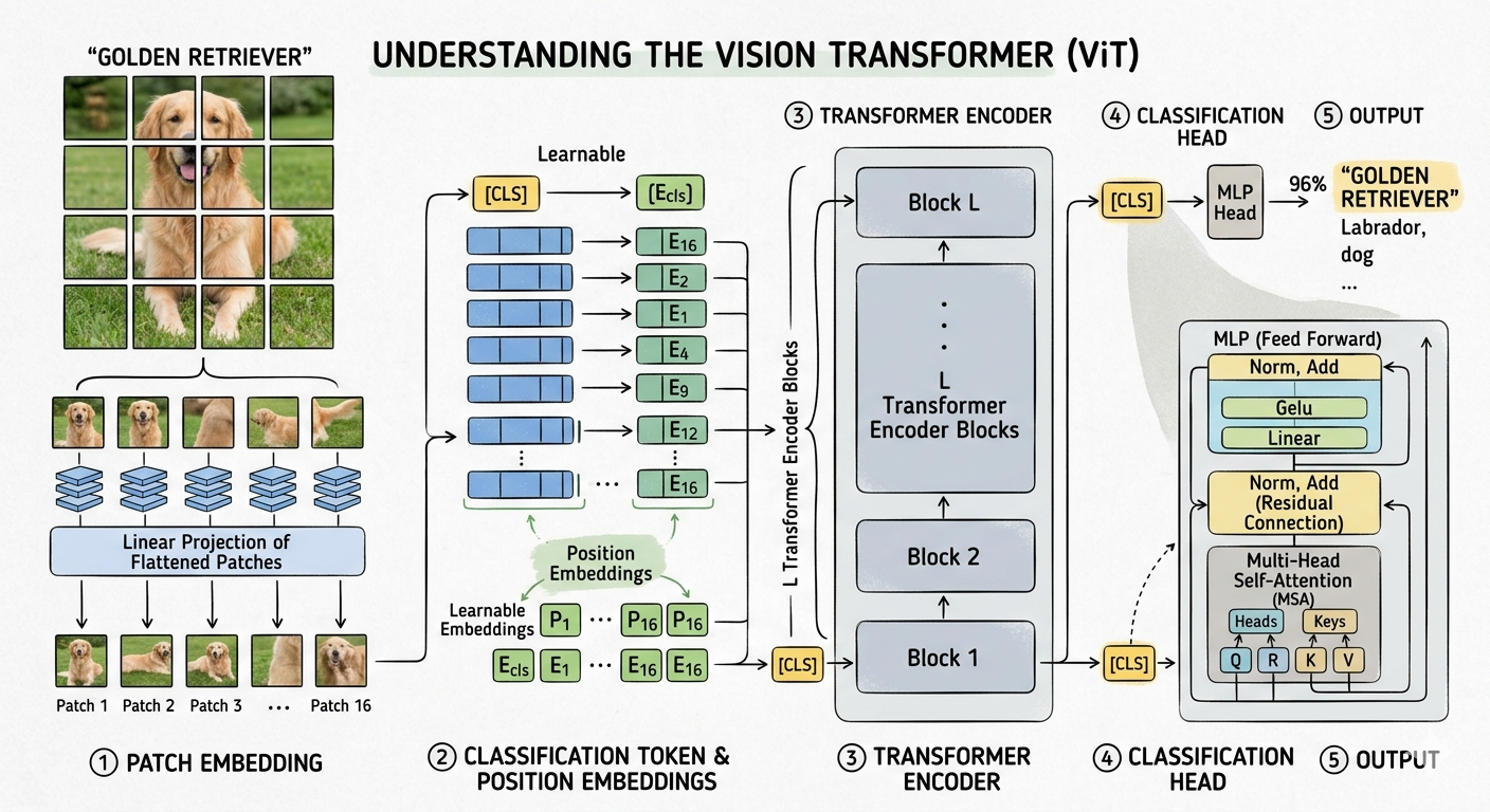 From Patches to Petals: What Training a Vision Transformer on Kaggle Taught Me