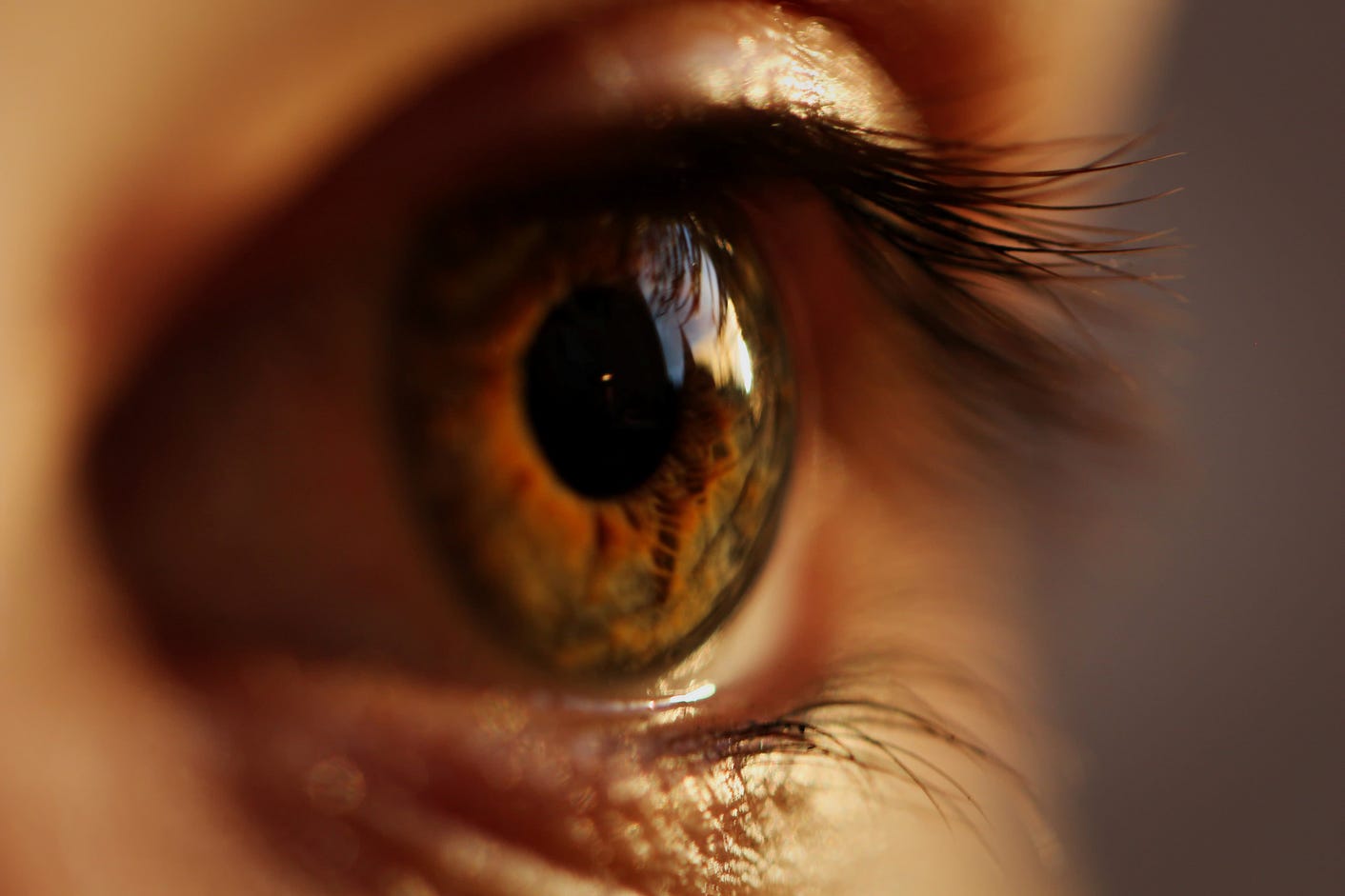 Close-up of an eye.