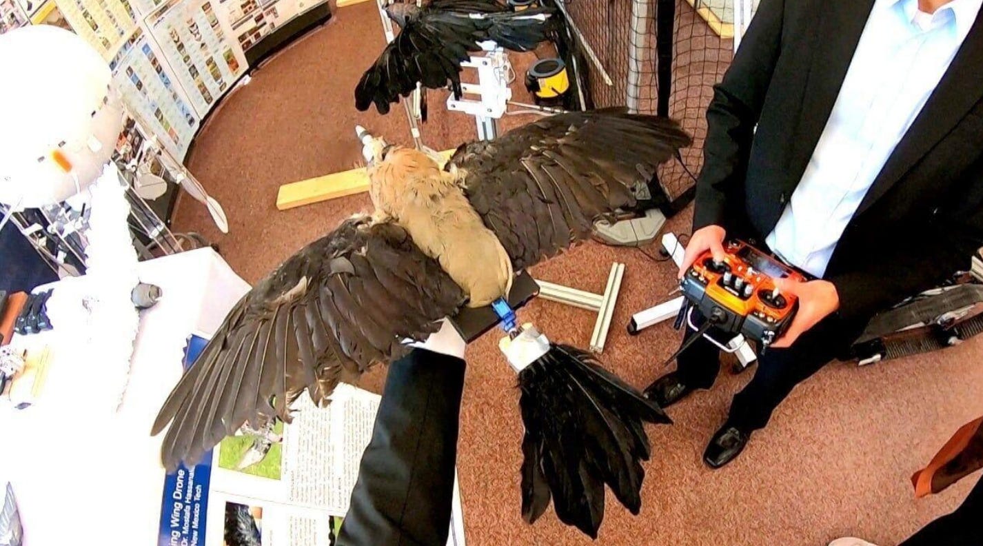 “Another Conspiracy Theory Takes Off: Scientists Turn Dead Birds into Taxidermy Drones”