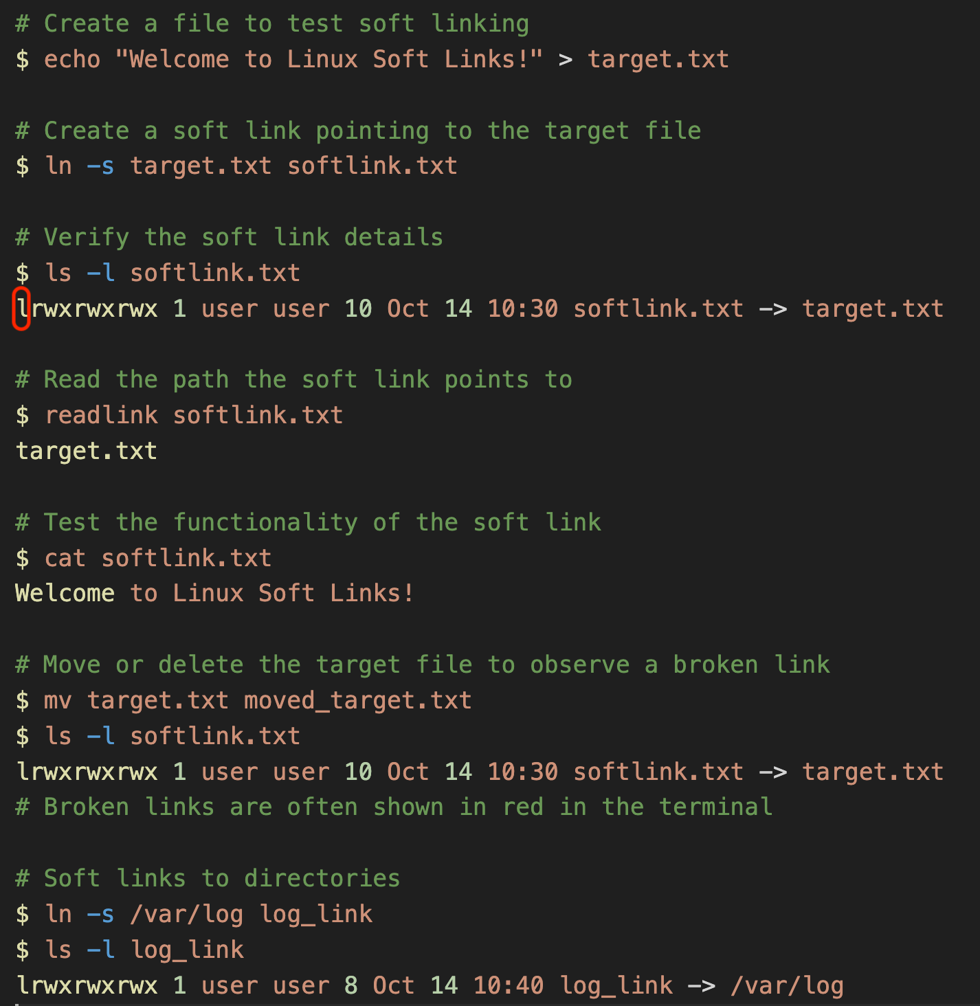 69  : Harness the Power of Soft Links in Linux for Flexible File Management