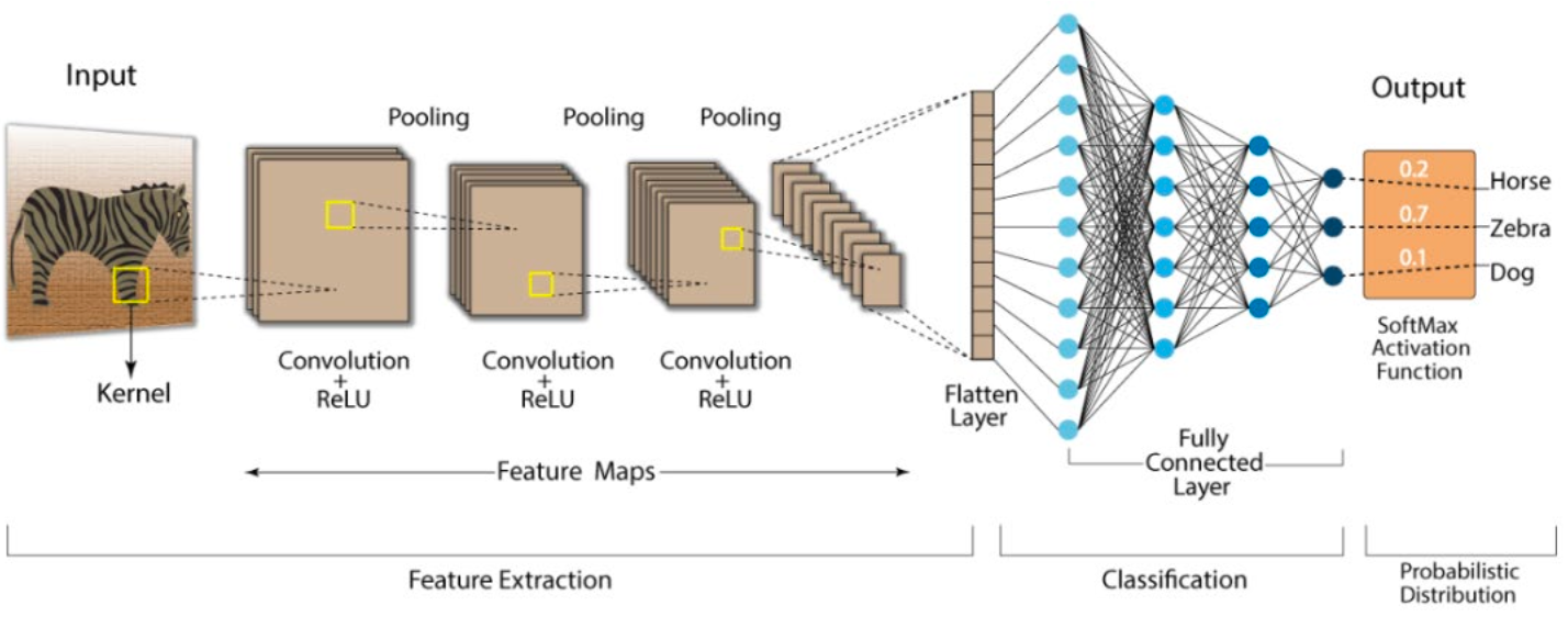 Convolutional Neural Network