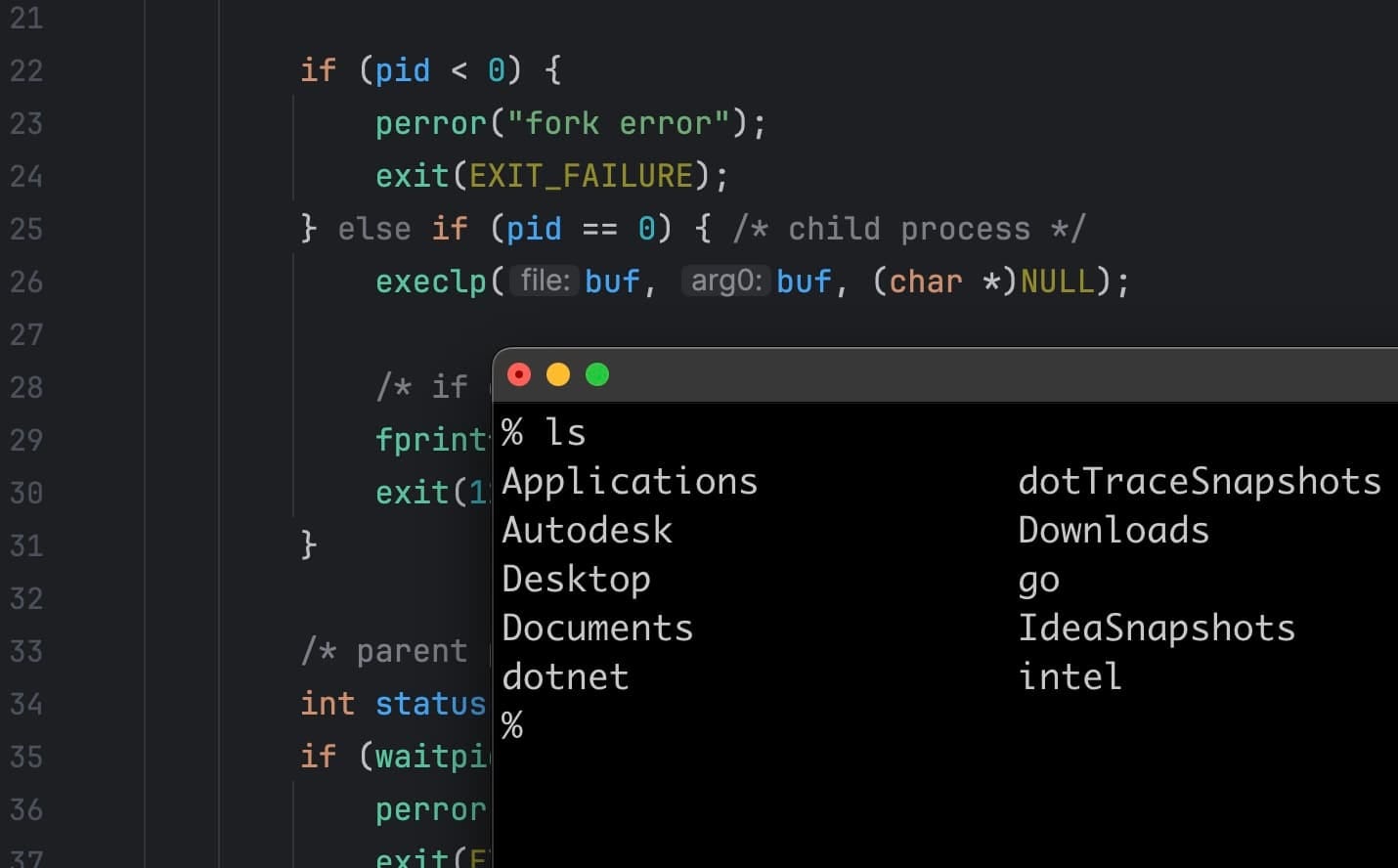 Did you know that a shell is just an ordinary program?