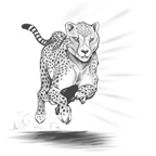 An illustration of a running cheetah