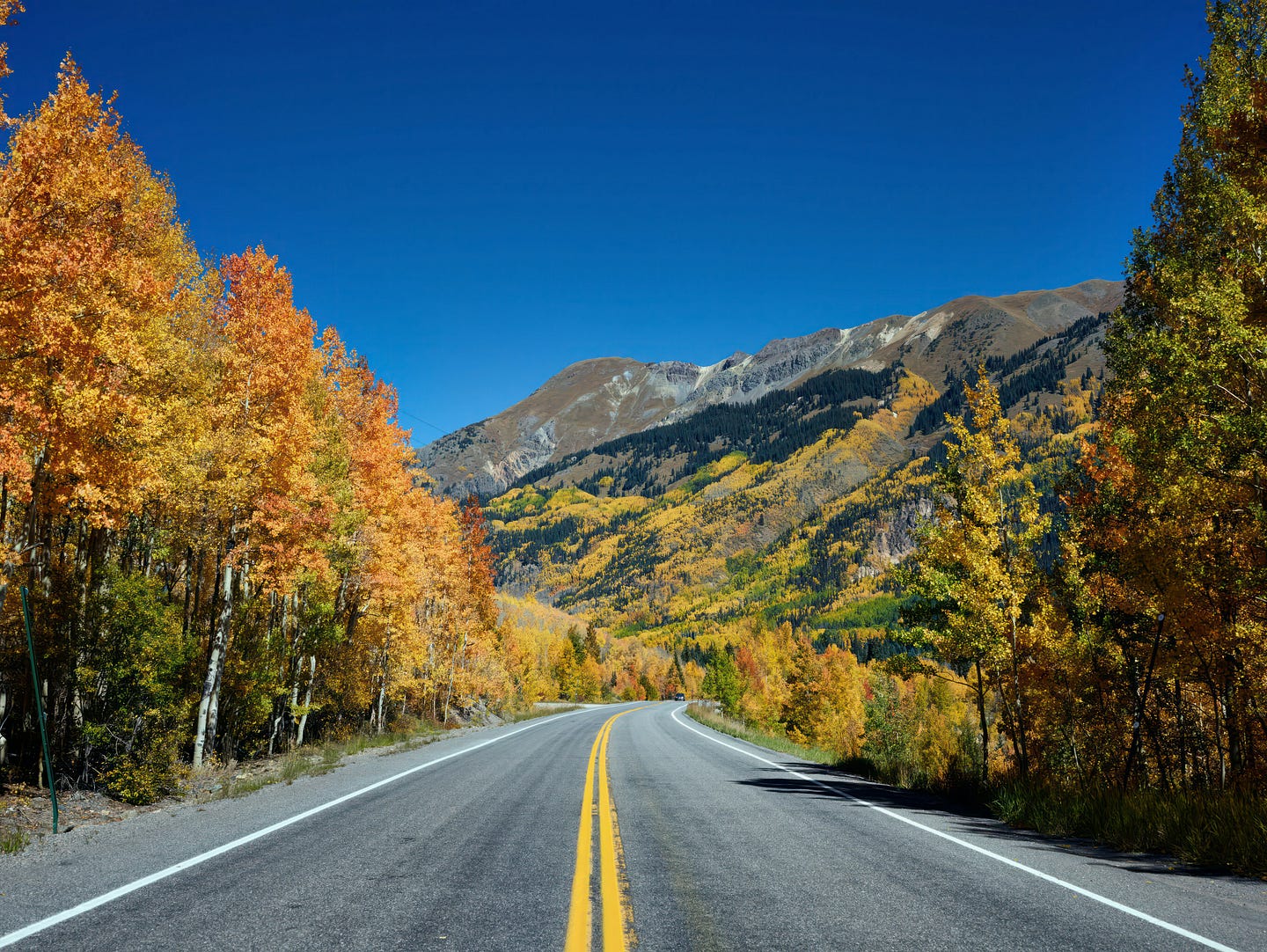 Image of fall  nature in America