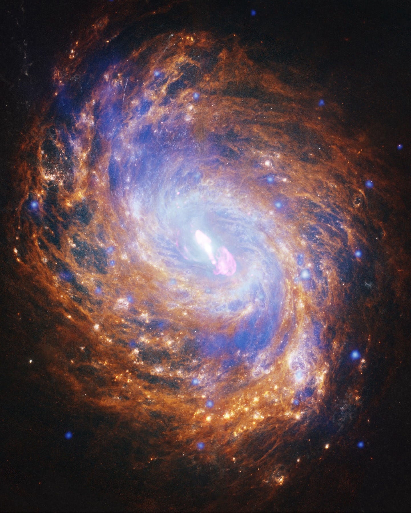 Far away is the Squid Galaxy Far away is the Squid Galaxy