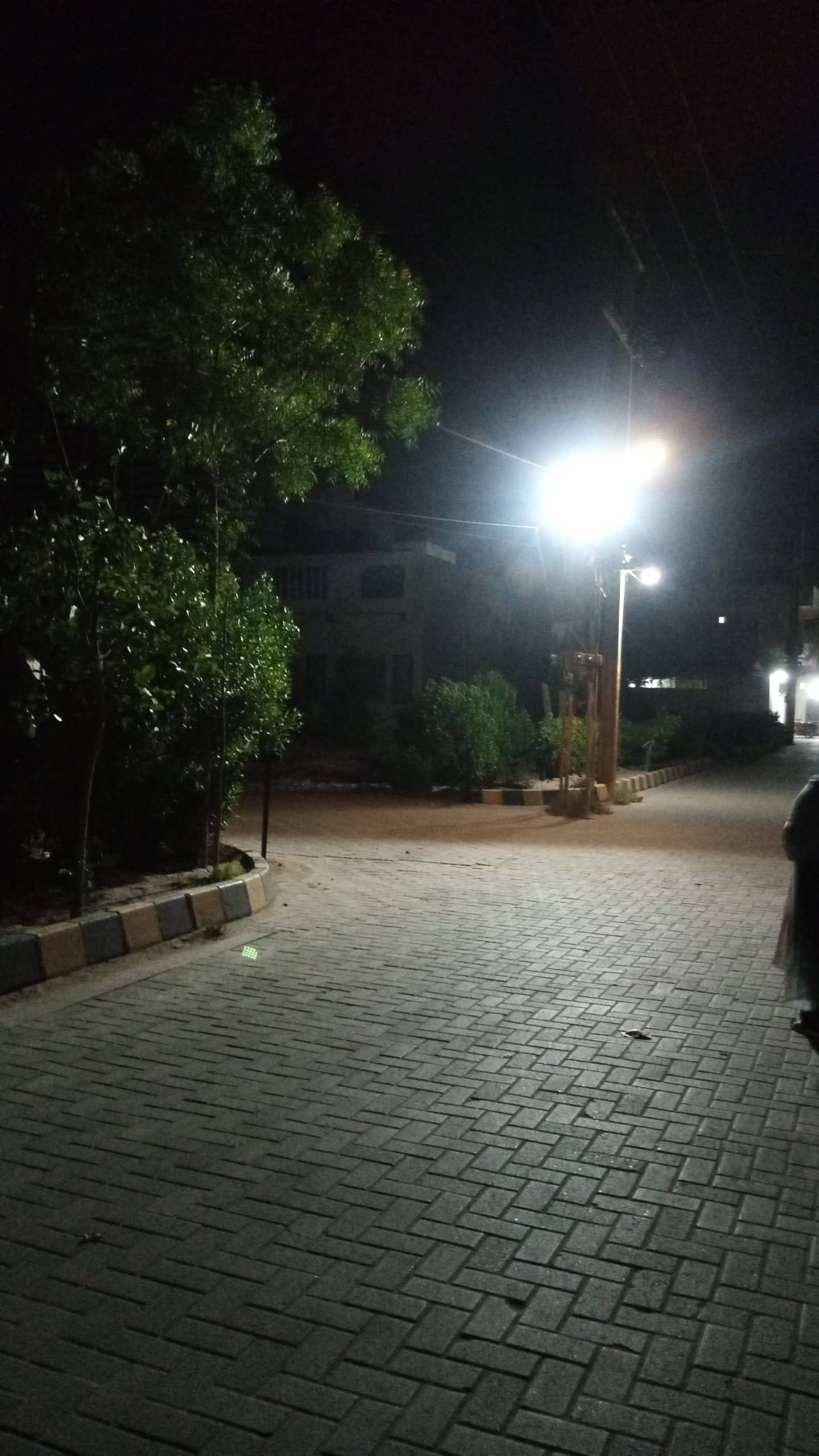 Where My Heart Feels at Home: Parks Over Restaurants Where My Heart Feels at Home: Parks Over Restaurants