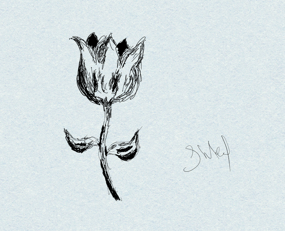 A drawing of a rose, created with the Notability app on iPad