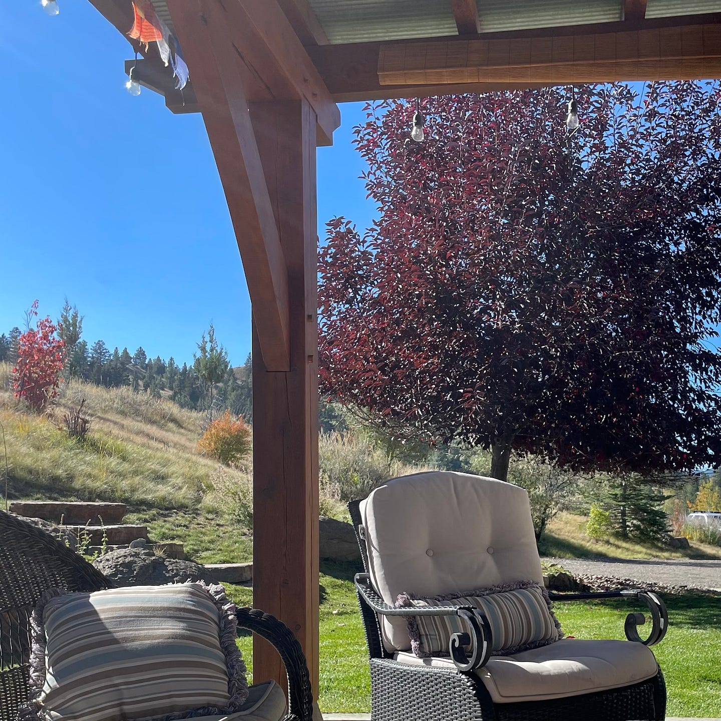 A view of blue sky and fall foilage from a patio under a pergula