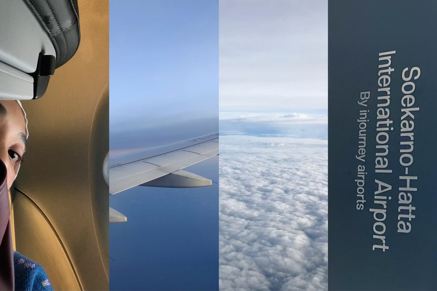 To Experience Flight is a Privilege