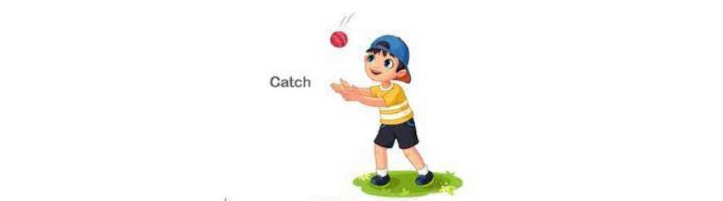 Catch the ball
