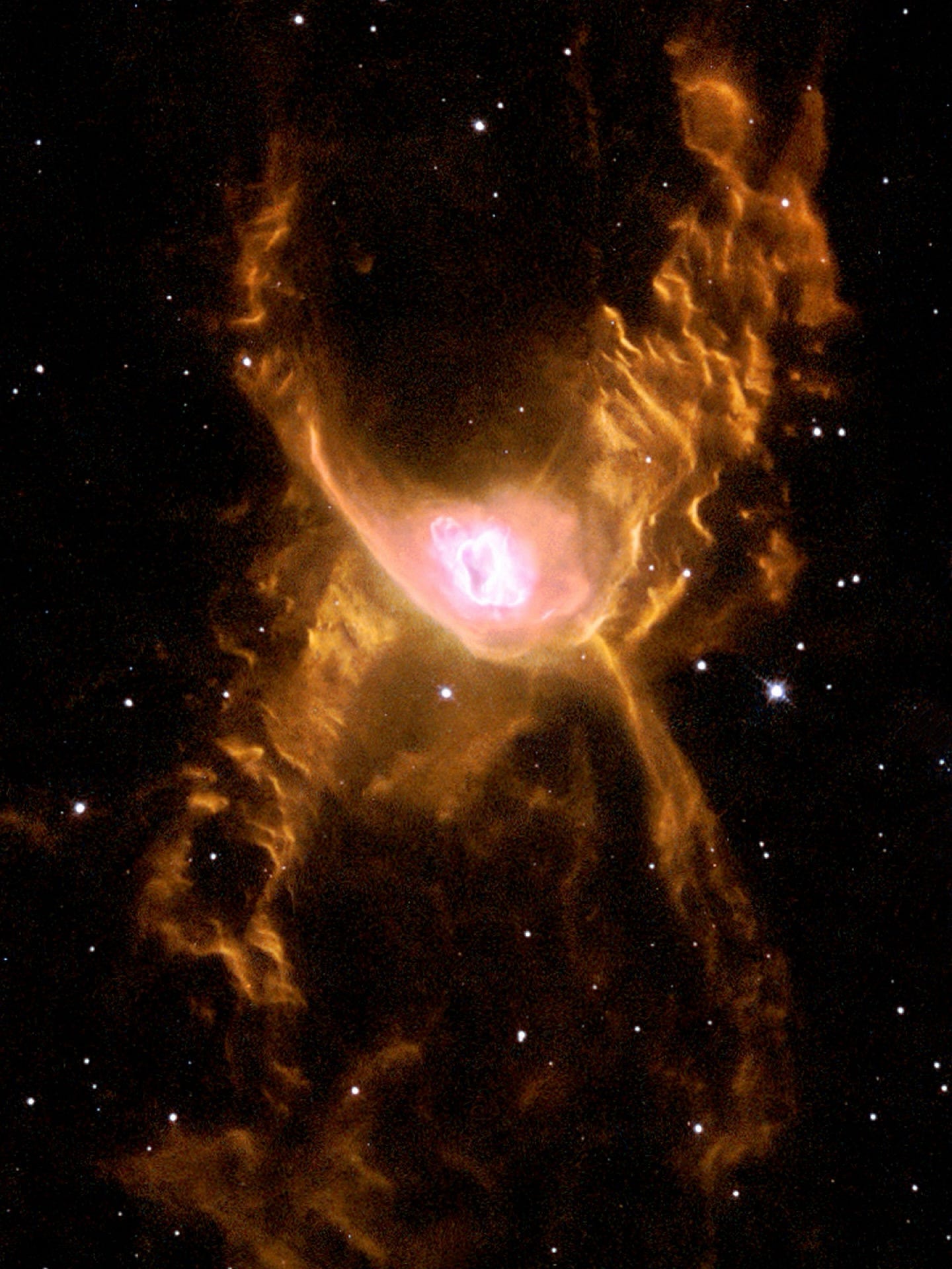 Is this a Space Spider- ?