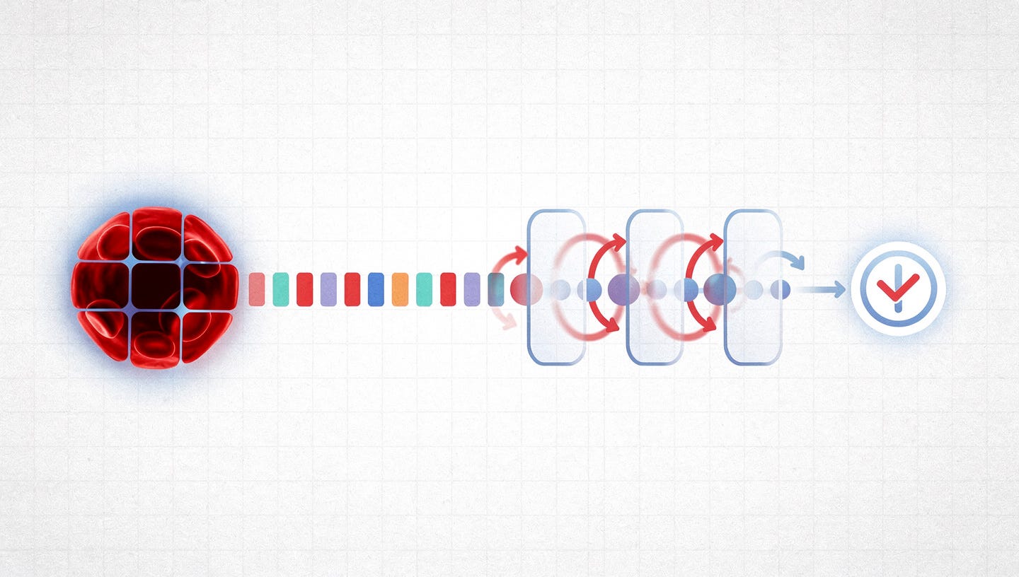 Can RNNs See? Patch-wise Recurrent Models for Image Classification