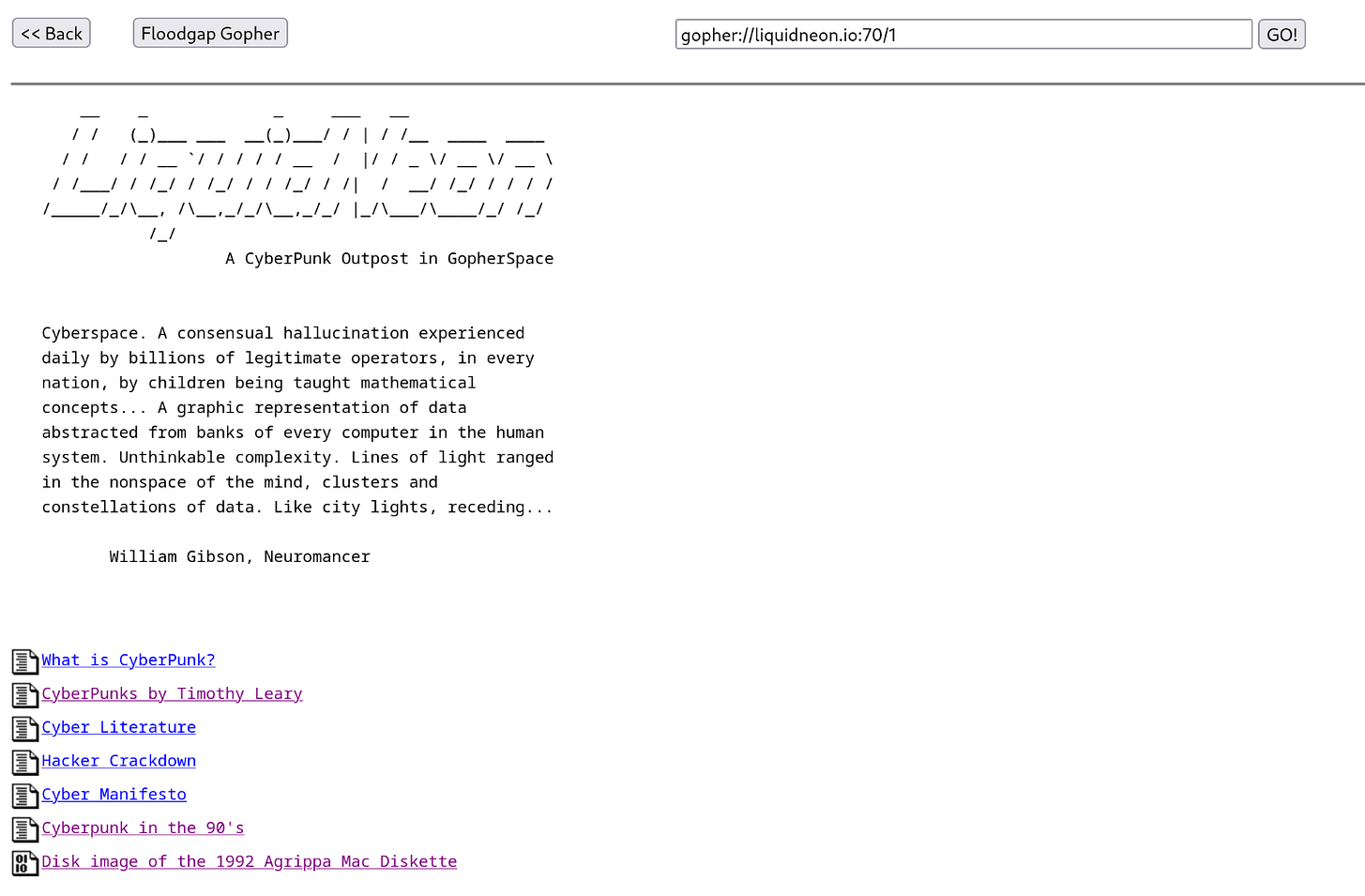 A screenshot of a “Gopher Hole,” a site accessible via the Gopher hypertext protocol. It is entirely plain text, with a large title drawn with slashes and underscores, a paragraph of text, then a menu of hyperlinks.