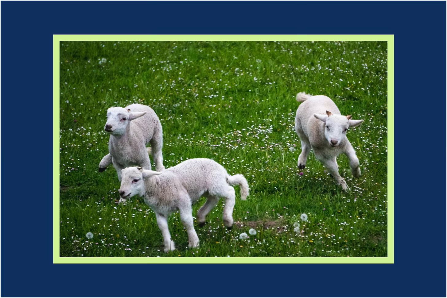 Good News Sunday: All Good. Or Is It?