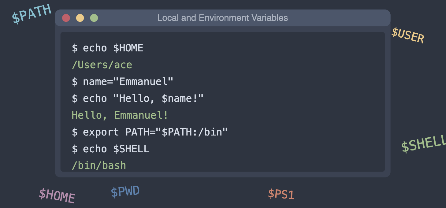 How to Customize Your Shell: Introduction to the Shell Environment & Variables
