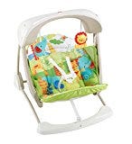 CKK59 Fisher Price Take Along Swing and Seat, Multi Color
