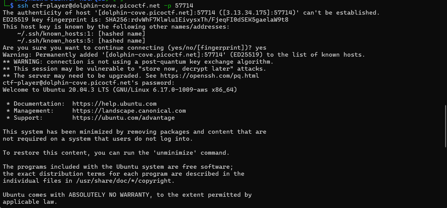 Piece by Piece — picoCTF Writeup