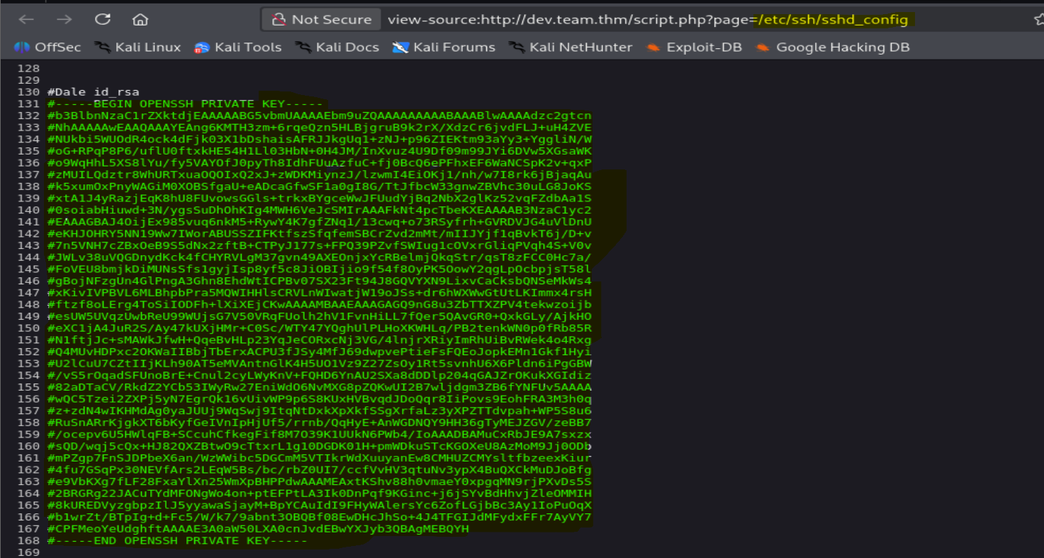 Writeup: TryHackMe TEAM