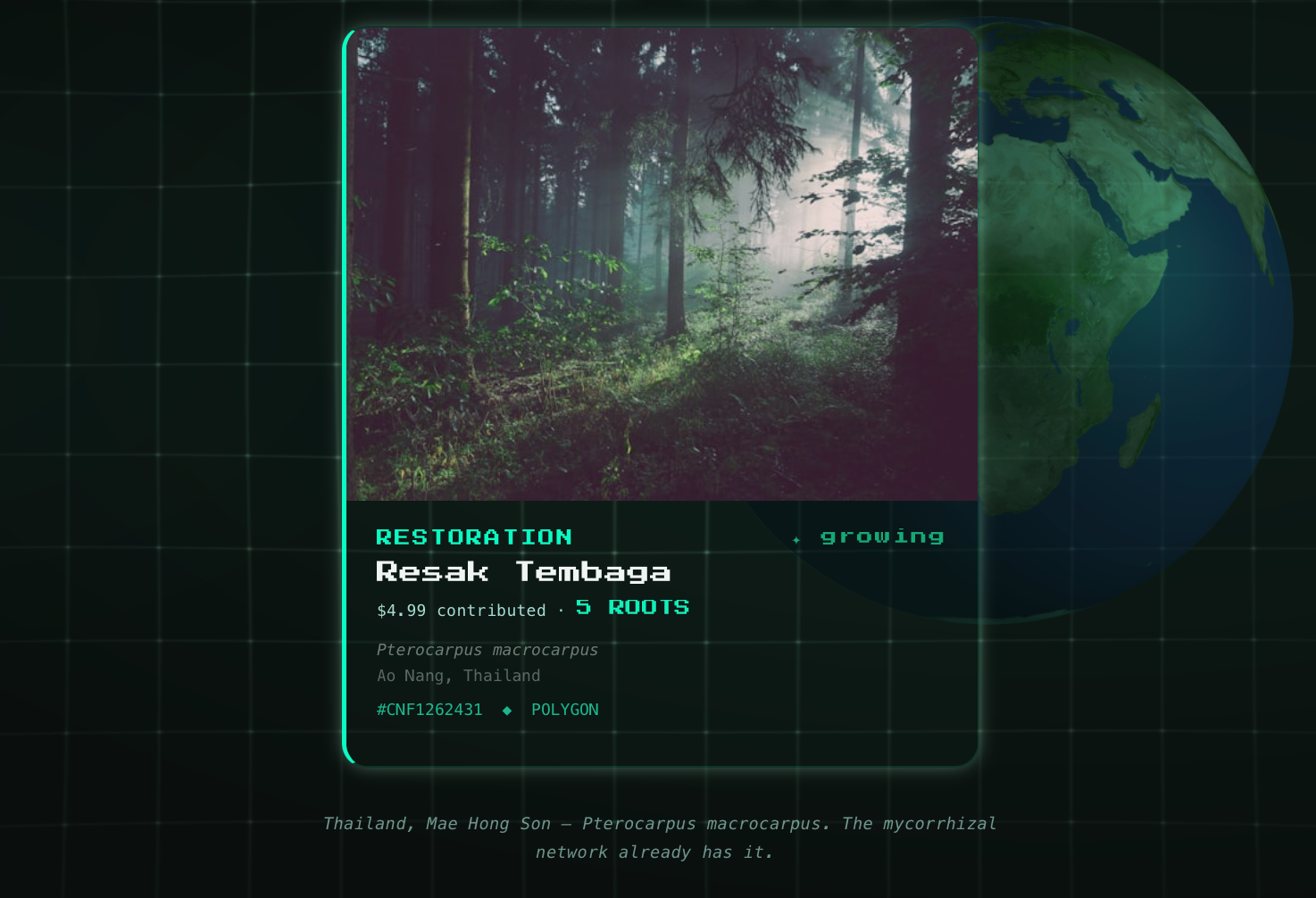 Heal Her.｜EarthLinC. Born in Earth