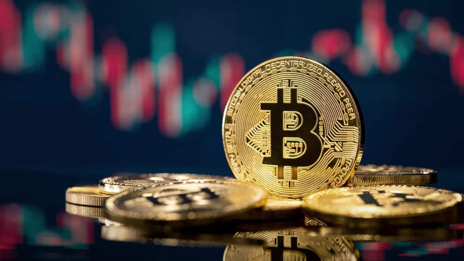 The $600,000 Ghost: Inside the Two-Month Standback at nm-holding.com