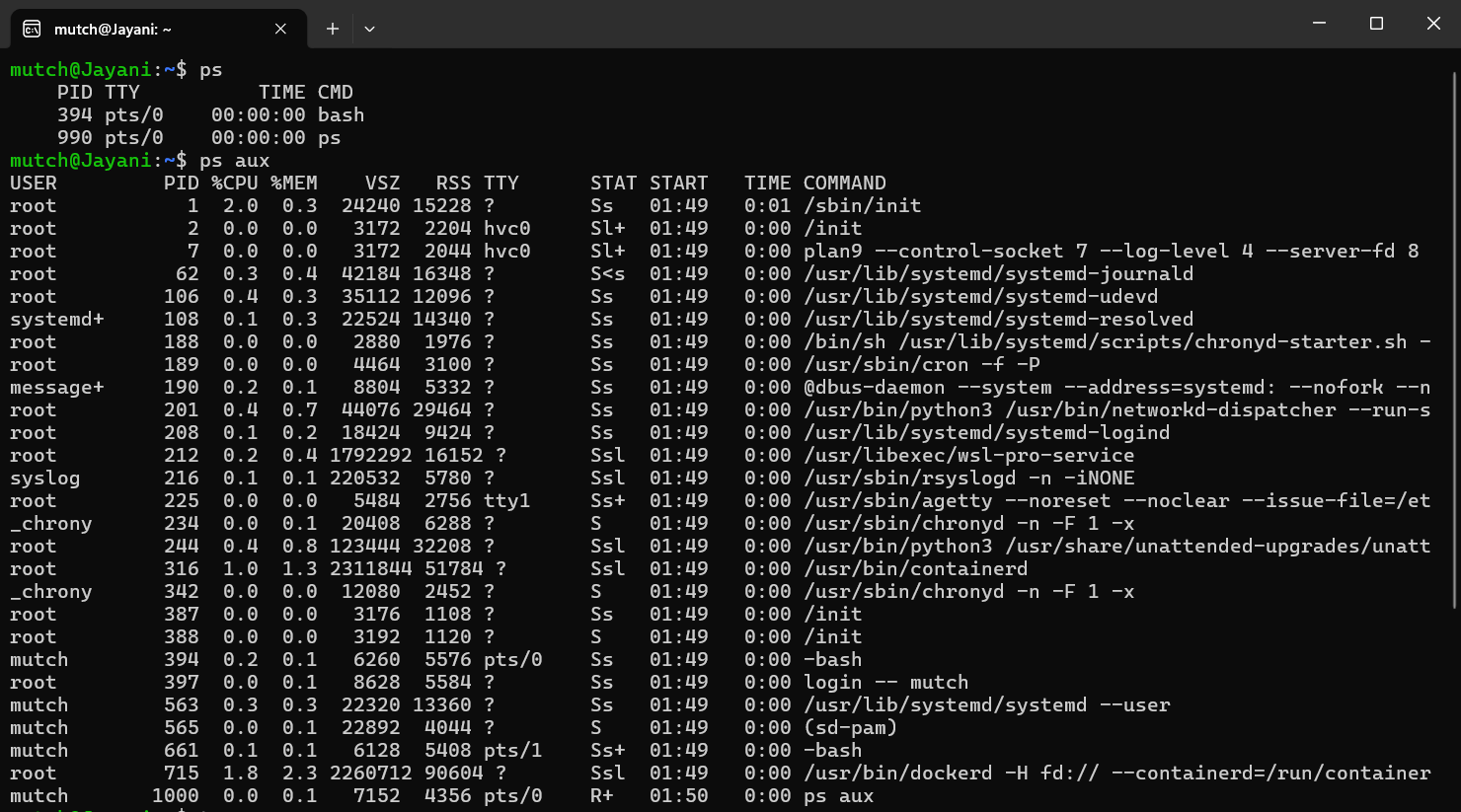 Linux Processes: Understanding ps, top and kill