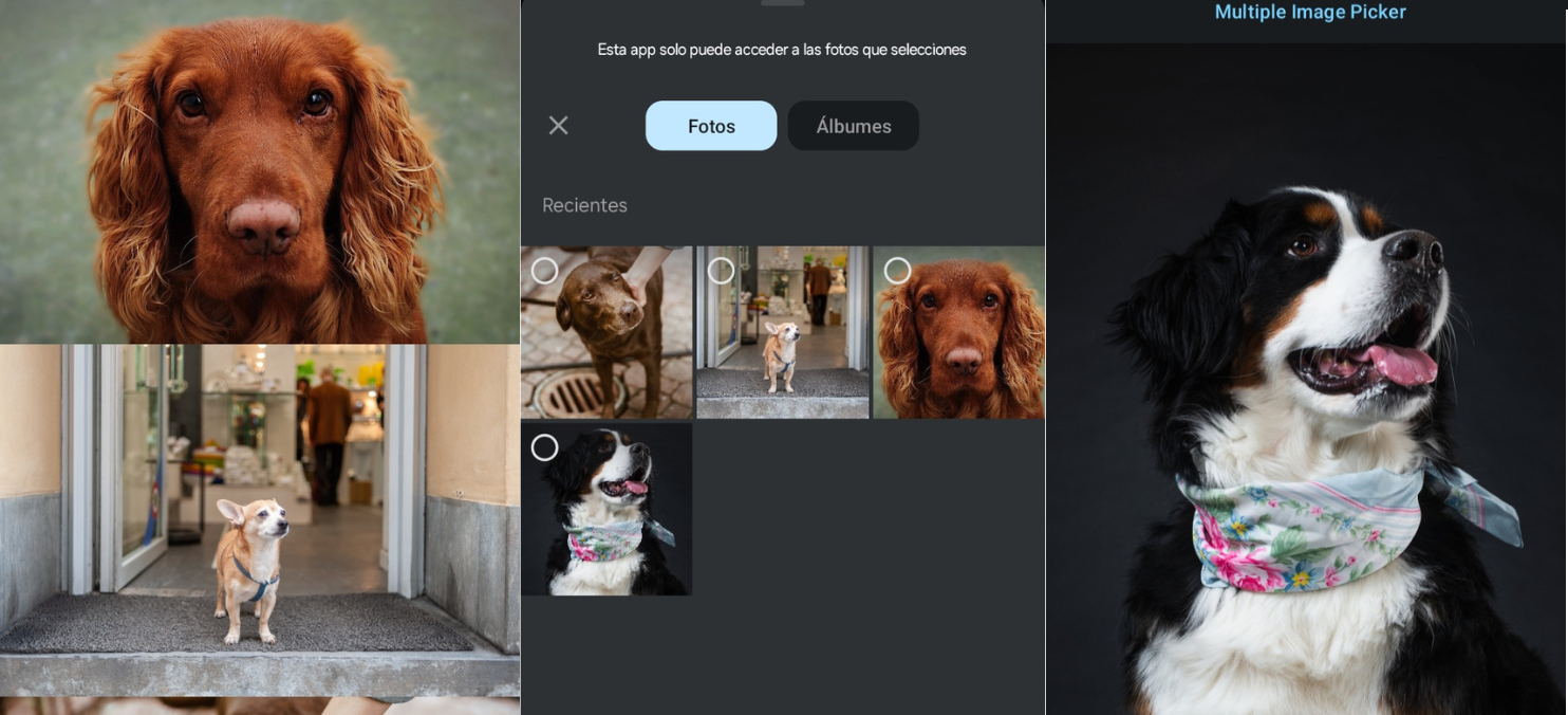 Implementa un selector de fotos en Android con Jetpack Compose