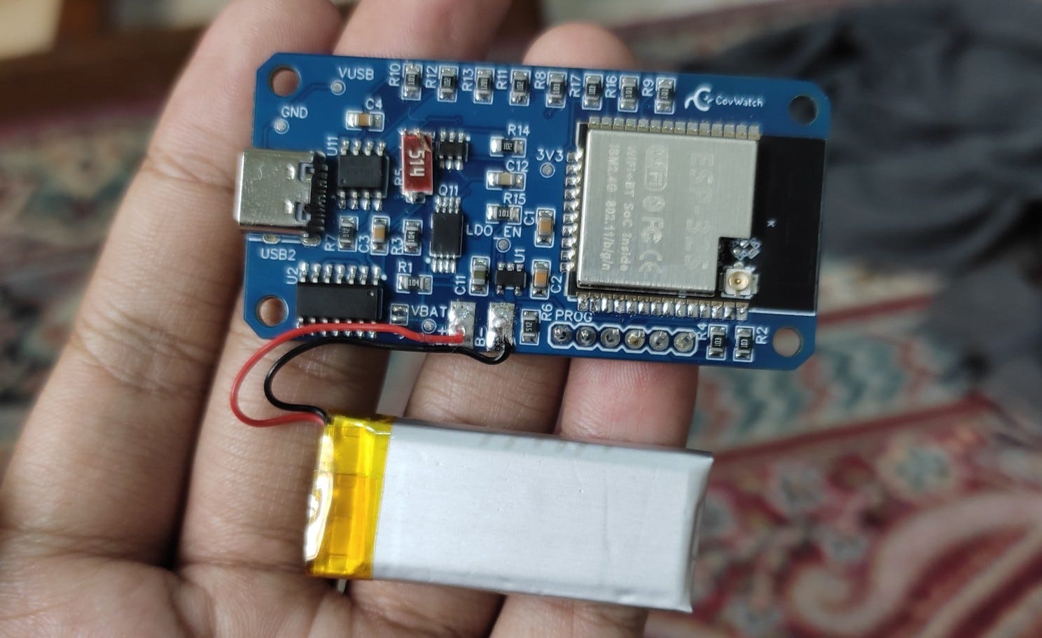 Building a Home-Based Microelectronics Industry