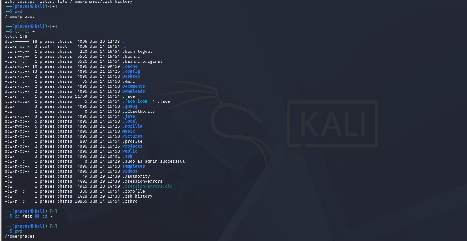 Mastering the Linux Terminal: A 5-Part CLI Lab
