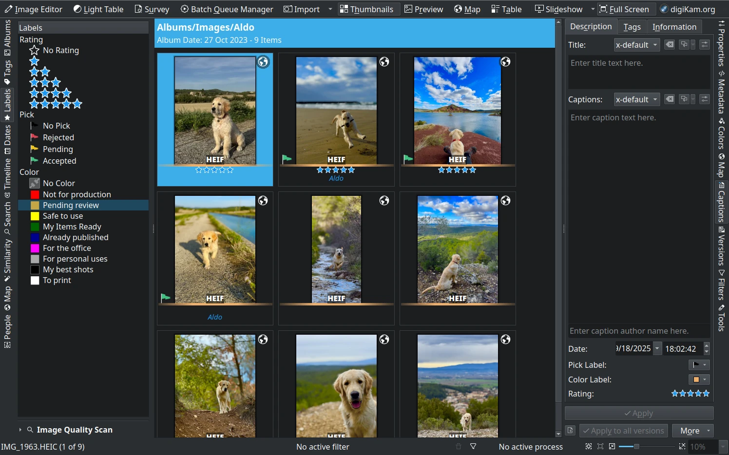 digiKam 9.0.0 Released with Qt 6 Migration, Workflow Enhancements, and Expanded Camera Support