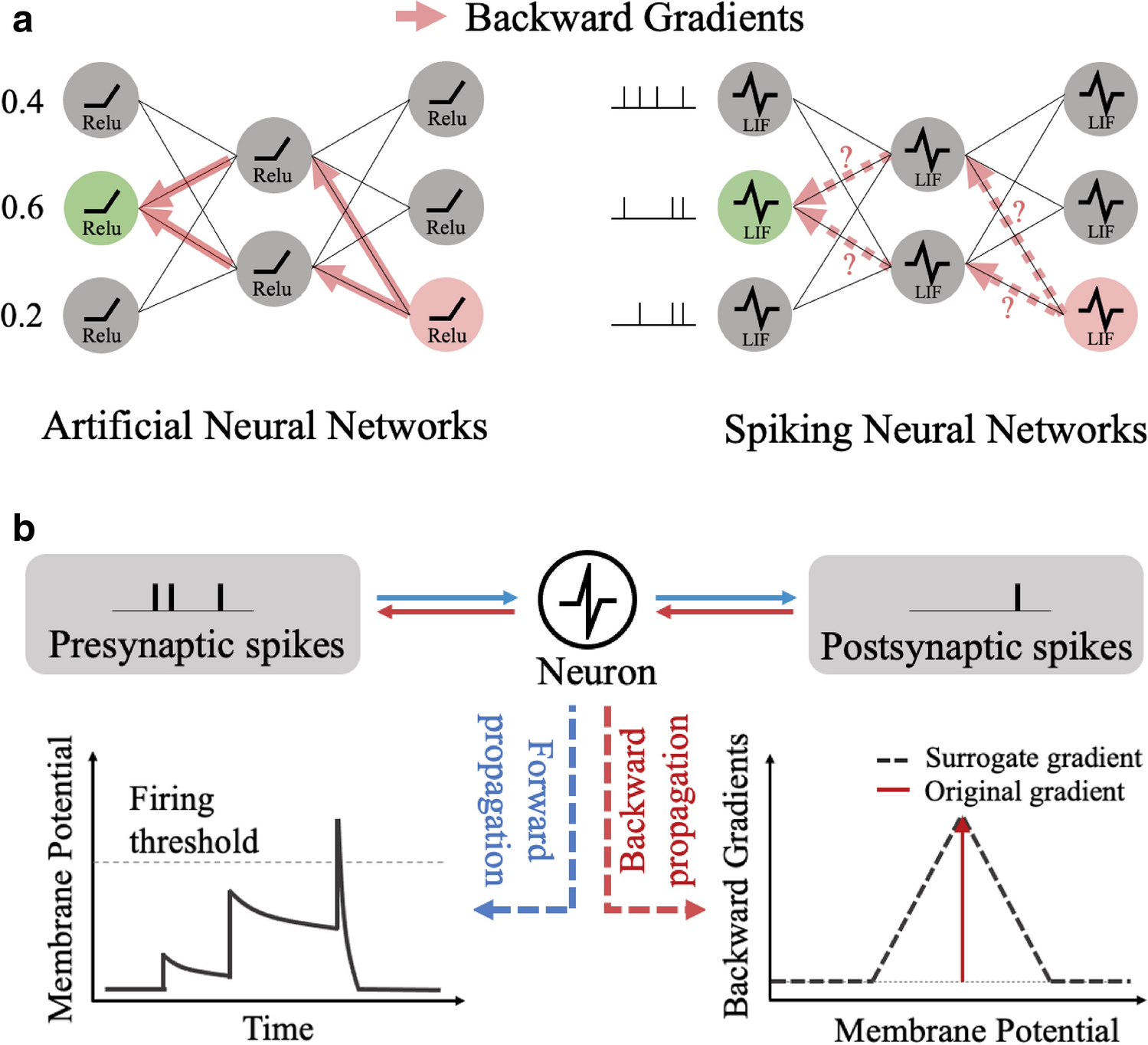 Unveiling the Potential: Challenges and Insights into Spiking Neural Networks in Artificial…