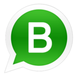 social media app whatsapp for business