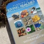 FL Living Beaches book